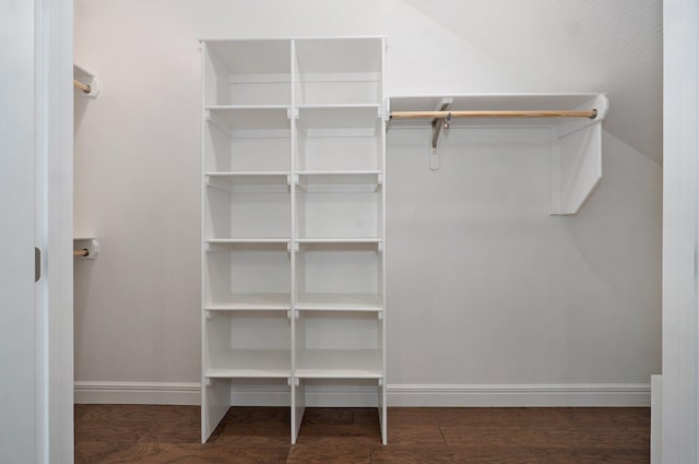 walk in closet featuring wood finished floors