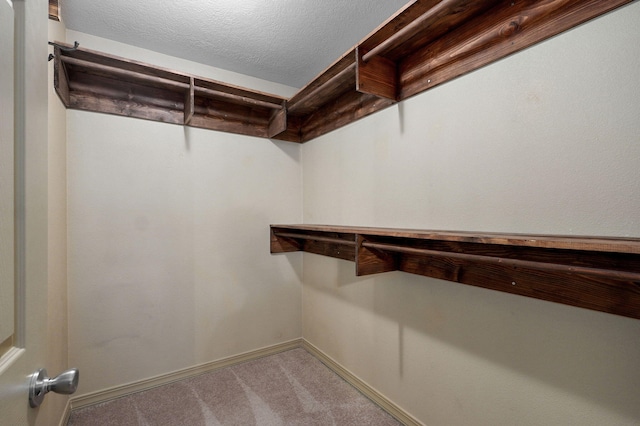 walk in closet with carpet