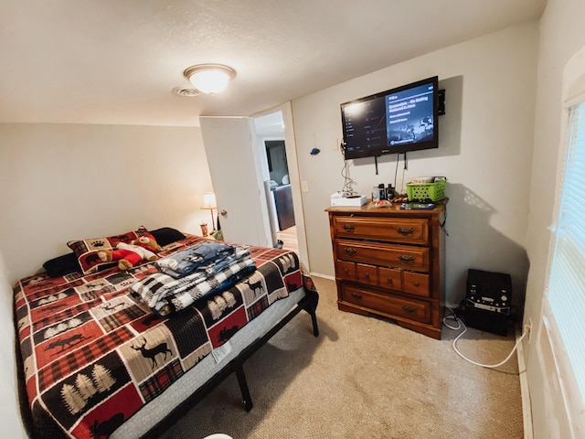 310 W Delta St, Aurora, MO 65605 - view of carpeted bedroom