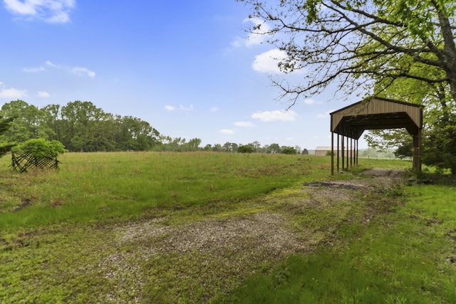 view of undeveloped land featuring rural landscape