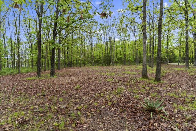 view of woods
