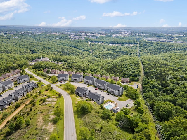3112 S Vinyards Terrace Parkway Unit 4, Branson, MO 65616 - aerial view of residential area with a forest