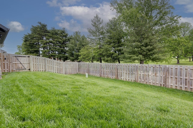 view of yard