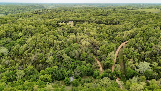 263 Shop Hollow Rd, Galena, MO 65656