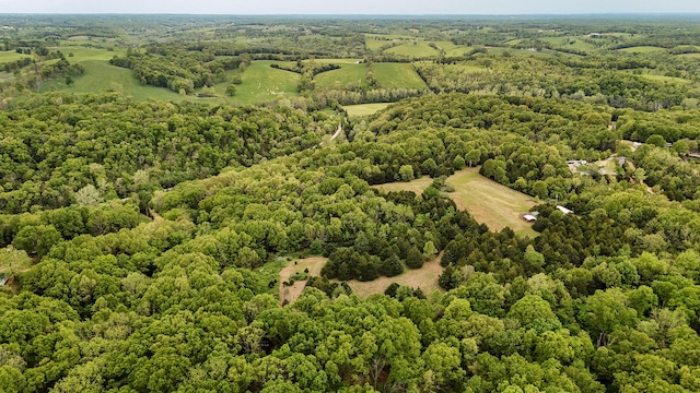 263 Shop Hollow Rd, Galena, MO 65656