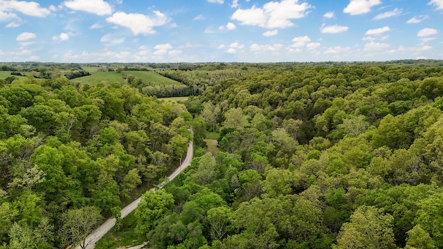 263 Shop Hollow Rd, Galena, MO 65656