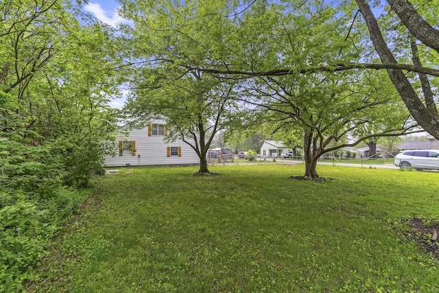 311 S Center St, Fordland, MO 65652 - view of yard