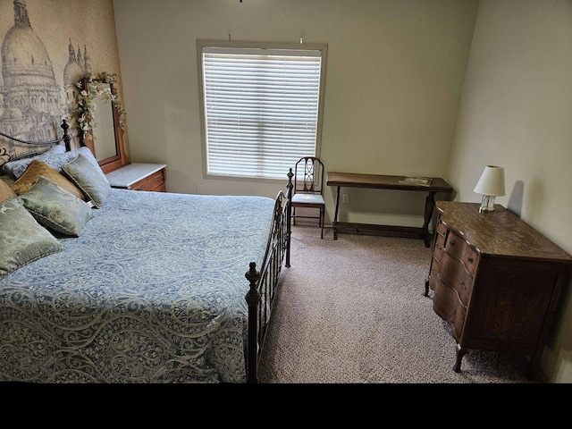 71 Birdie Ln Unit 3, Branson West, MO 65737 - view of carpeted bedroom