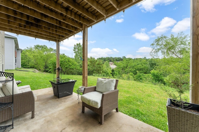 122 Thunder Ridge Ct, Branson, MO 65616 - view of patio