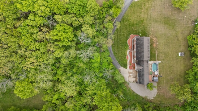 bird's eye view