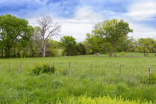 38 Martin Ln, Fair Grove, MO 65648 - photo 98