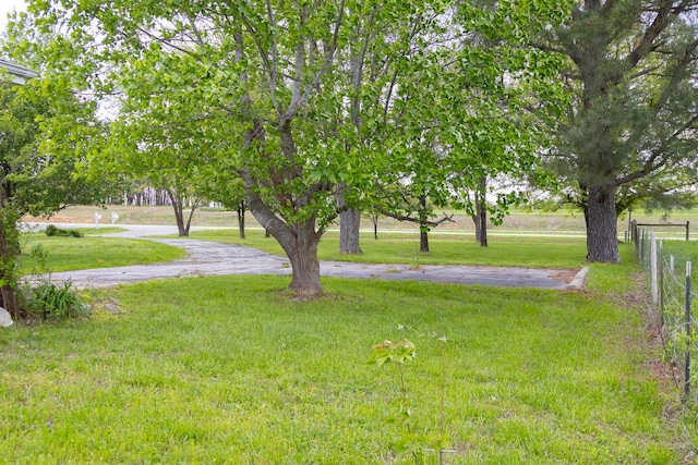 38 Martin Ln, Fair Grove, MO 65648 - photo 90