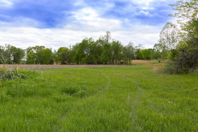 38 Martin Ln, Fair Grove, MO 65648 - photo 103