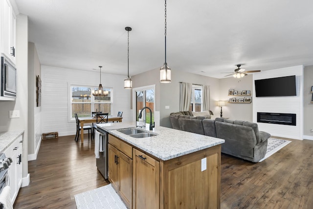 kitchen with a sink, appliances with stainless steel finishes, dark wood-style floors, and healthy amount of natural light