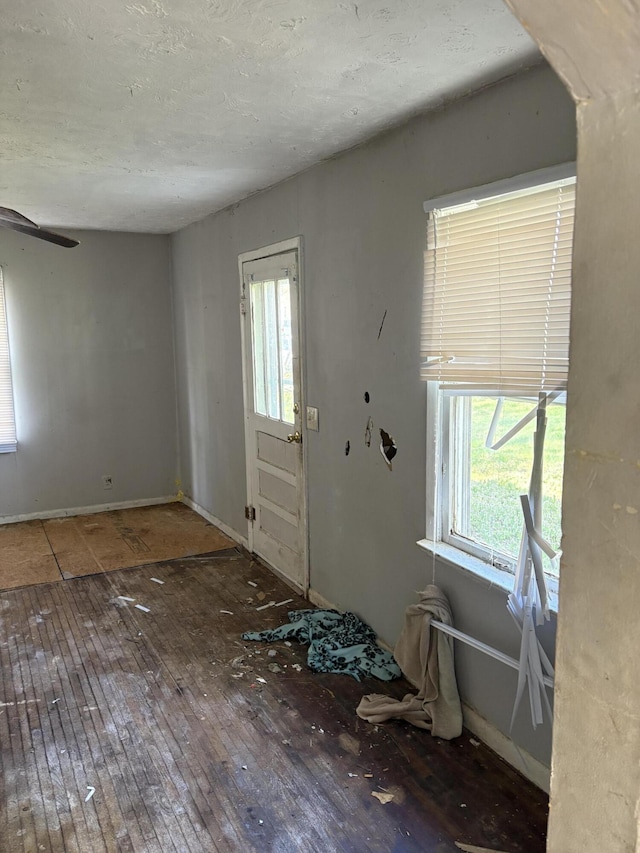 foyer with hardwood / wood-style flooring, plenty of natural light, ceiling fan, and baseboards