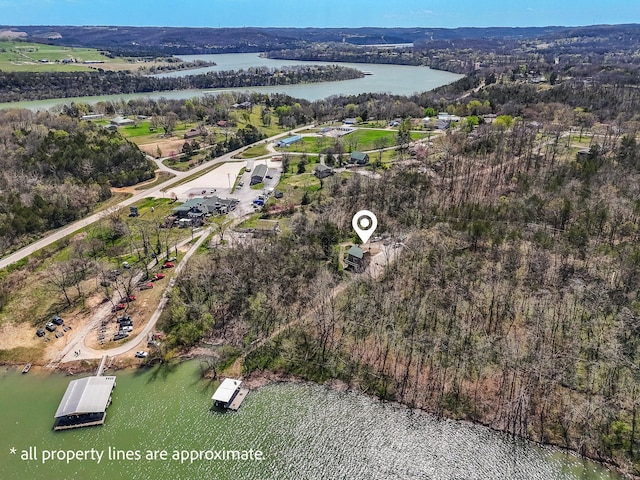 167 Motel Ln, Cape Fair, MO 65624 - view of property location with a nearby body of water and a forest