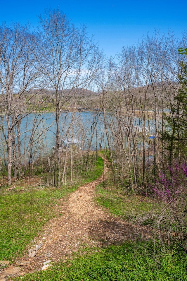 167 Motel Ln, Cape Fair, MO 65624 - water view