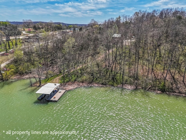 167 Motel Ln, Cape Fair, MO 65624 - bird's eye view