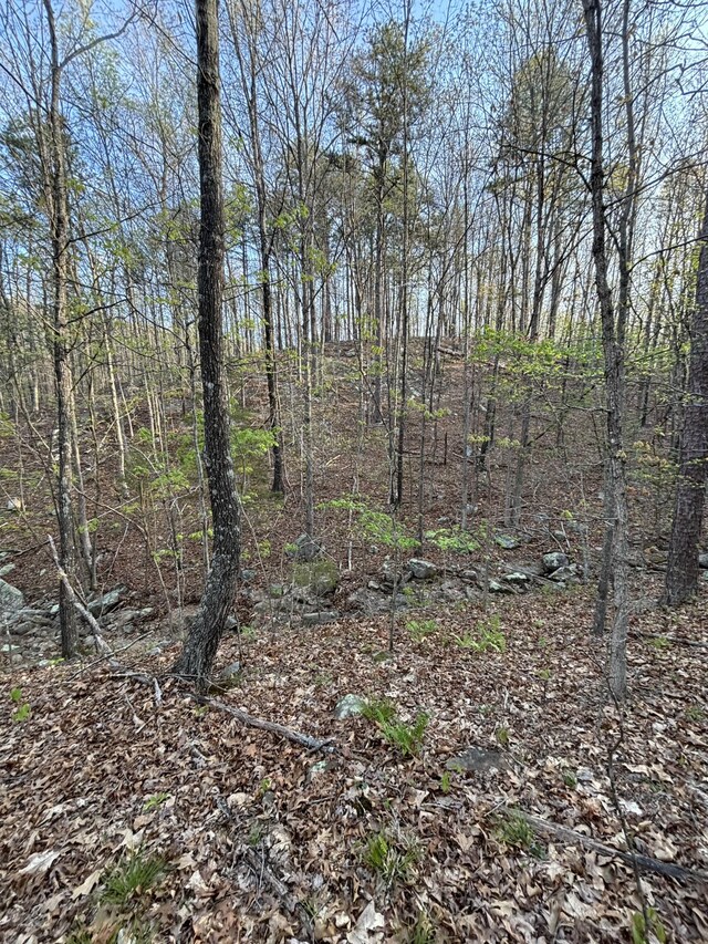 000 County Road Ha, Eminence, MO 65466
