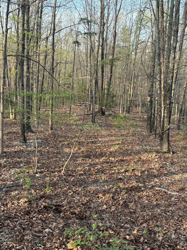 000 County Road Ha, Eminence, MO 65466