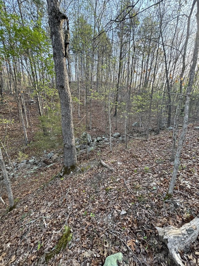 000 County Road Ha, Eminence, MO 65466