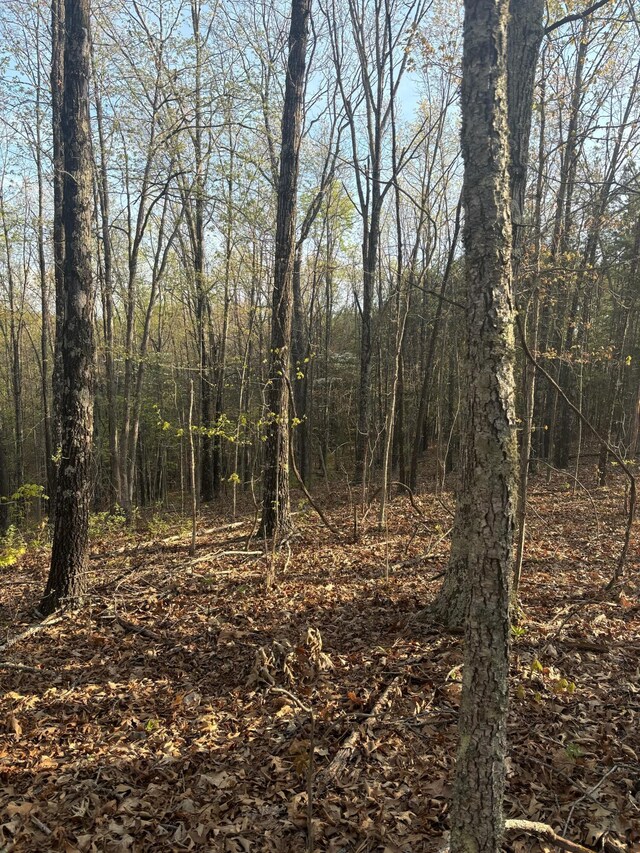 000 County Road Ha, Eminence, MO 65466