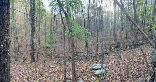 000 County Road Ha, Eminence, MO 65466