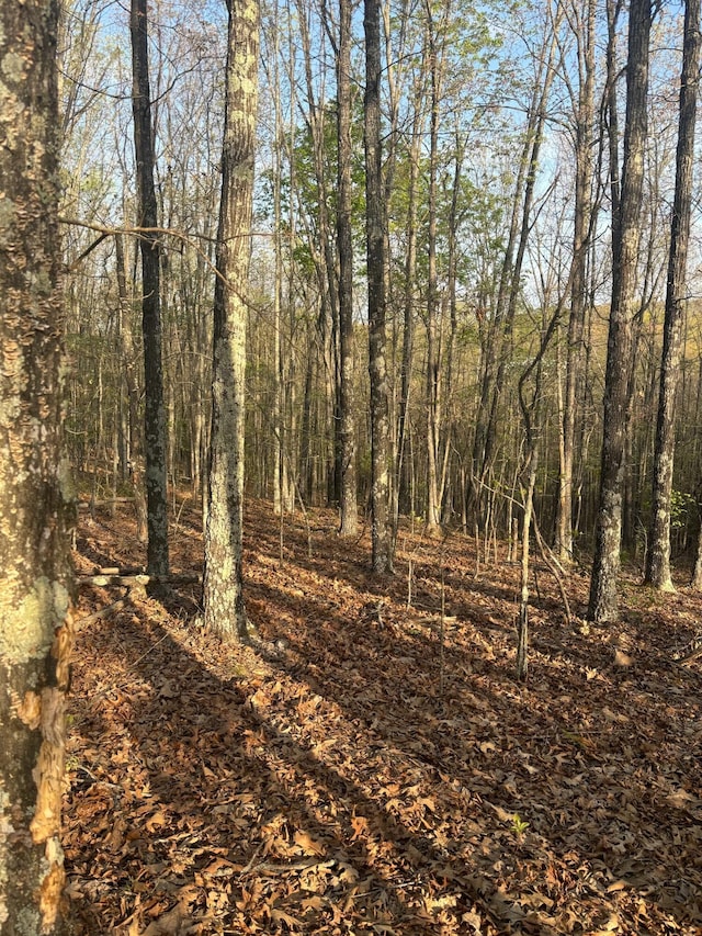000 County Road Ha, Eminence, MO 65466
