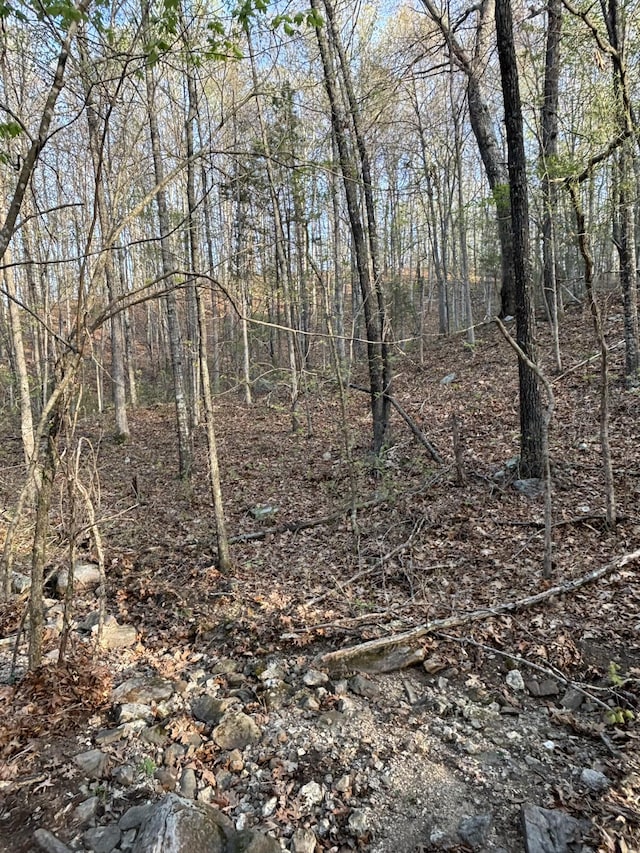 000 County Road Ha, Eminence, MO 65466