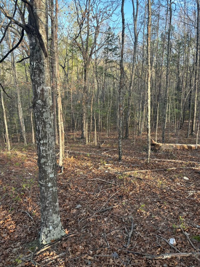 000 County Road Ha, Eminence, MO 65466