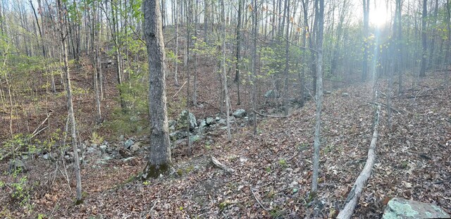 000 County Road Ha, Eminence, MO 65466