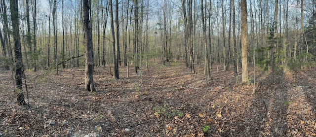 000 County Road Ha, Eminence, MO 65466