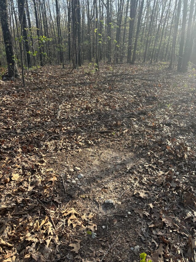 000 County Road Ha, Eminence, MO 65466
