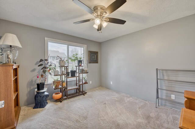 3878 W Cambridge St, Springfield, MO 65807 - photo 21