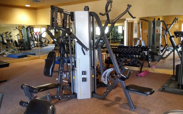 186 Bunker Ridge Dr Unit 2, Branson, MO 65616 - gym featuring carpet floors