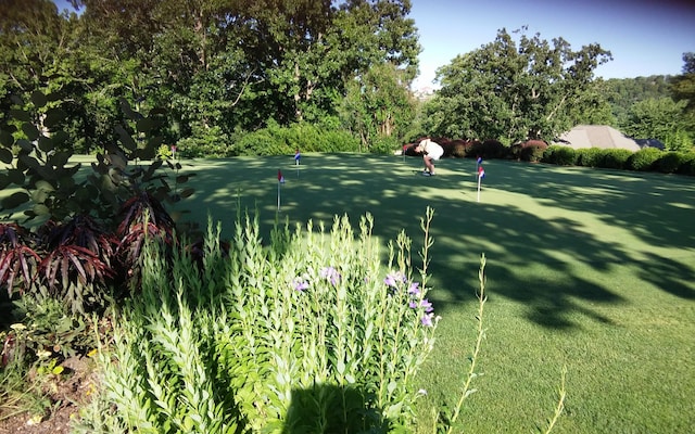 186 Bunker Ridge Dr Unit 2, Branson, MO 65616 - view of yard with a putting area