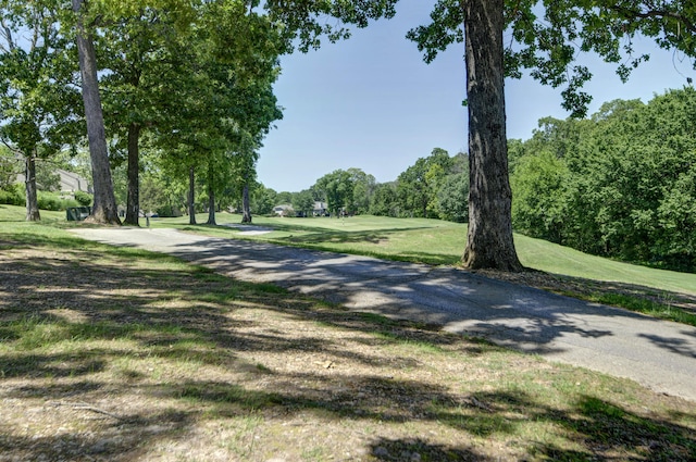 186 Bunker Ridge Dr Unit 2, Branson, MO 65616 - view of road