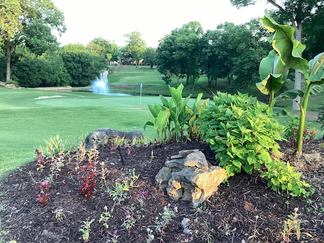 186 Bunker Ridge Dr Unit 2, Branson, MO 65616 - view of community featuring a lawn, view of golf course, a water view, and view of wooded area