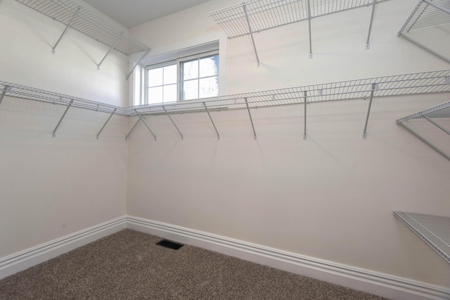 308 S 6th Ave, Ozark, MO 65721 - spacious closet with carpet floors