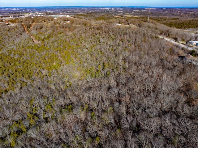 0 Freeman Ln, Hollister, MO 65672