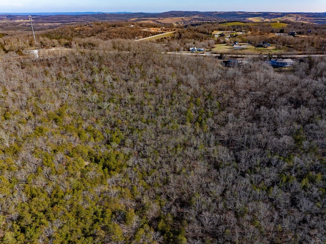 0 Freeman Ln, Hollister, MO 65672