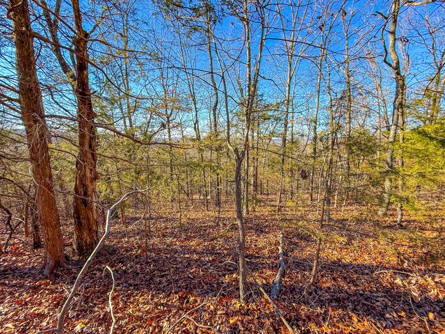 0 Freeman Ln, Hollister, MO 65672