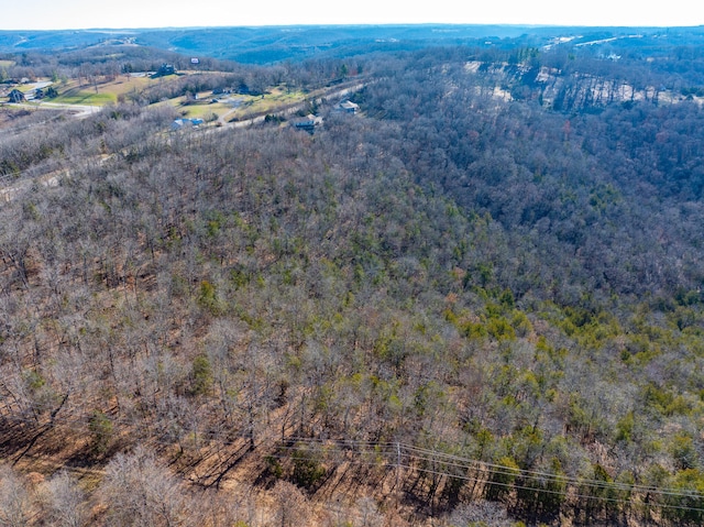 0 Freeman Ln, Hollister, MO 65672