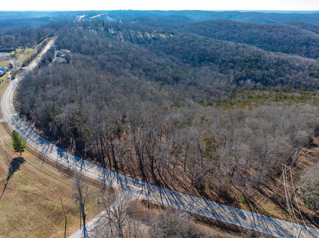 0 Freeman Ln, Hollister, MO 65672