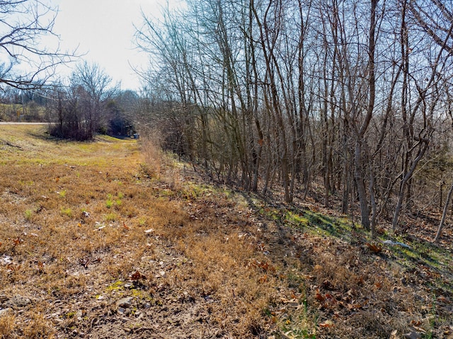0 Freeman Ln, Hollister, MO 65672