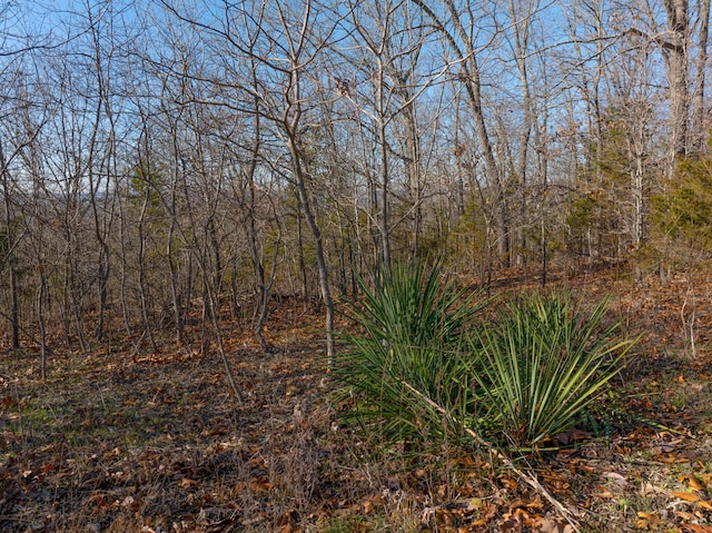 0 Freeman Ln, Hollister, MO 65672