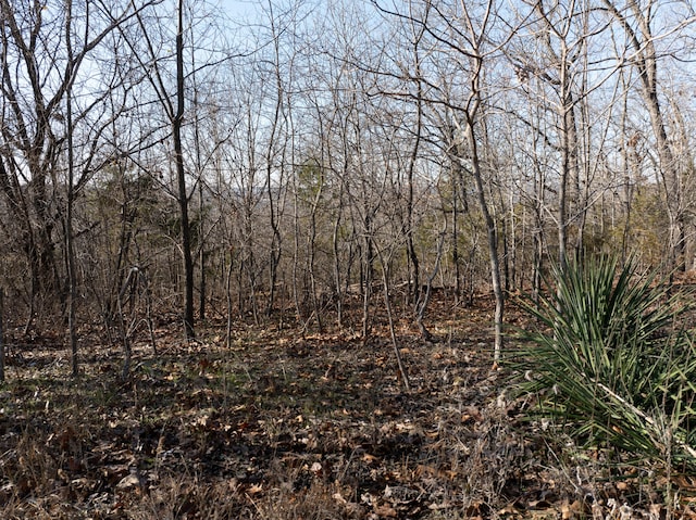 0 Freeman Ln, Hollister, MO 65672
