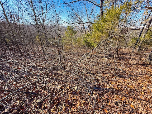 0 Freeman Ln, Hollister, MO 65672