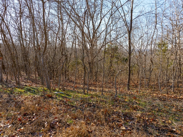 0 Freeman Ln, Hollister, MO 65672