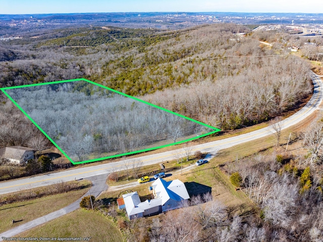 0 Freeman Ln, Hollister, MO 65672